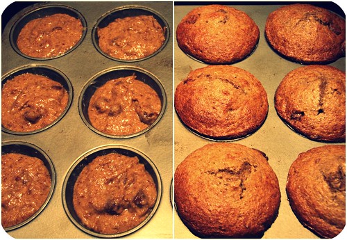 pb muffins in pan