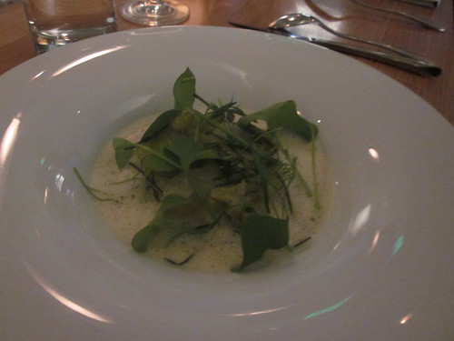 Commis - Oakland - January 2011 - Leeks and Celeriac Cooked with Anise, Citric Crab Emulsion, Wild Lettuce