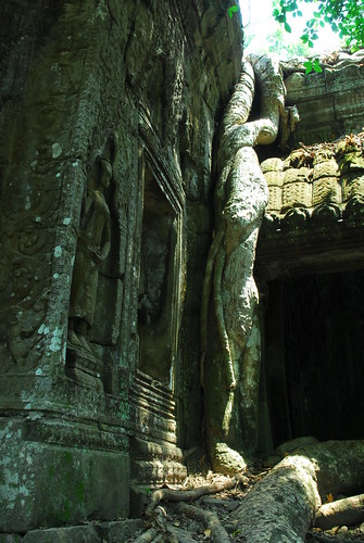 Angkor Wat & Surrounds 320