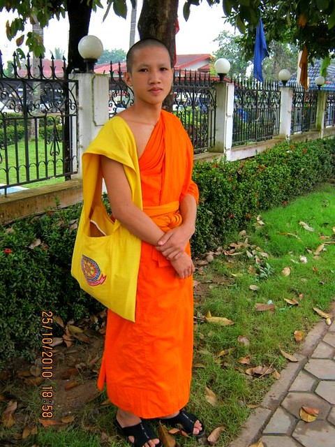 Novice Young Monk