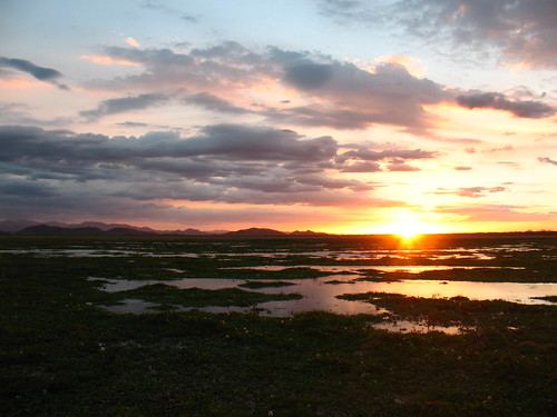 sunset over Palo Verde marshlands