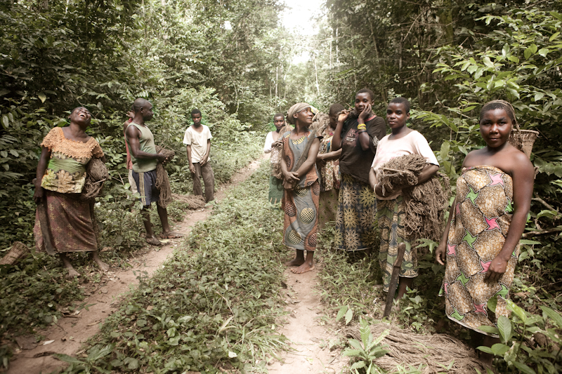 Camerún, toda África en un solo país  - Blogs de Camerun - 	EN LA RESERVA DE DZANGA SANGHA  (22)