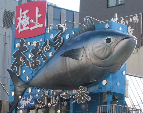 Tuna Restaurant near Tsukiji Fish Market