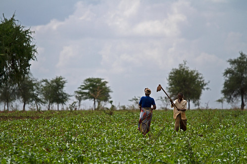 Farmers in Tanzania