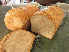 Whole-Wheat Quinoa Bread
