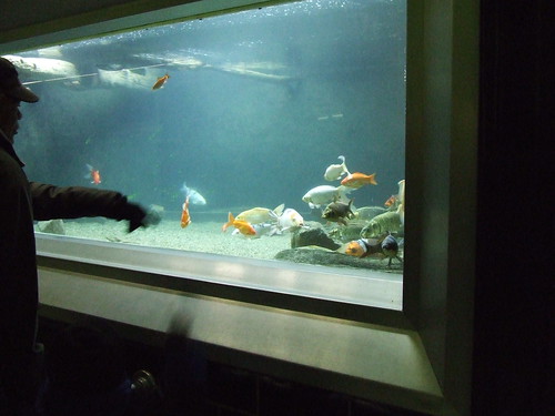 Belle Isle Aquarium