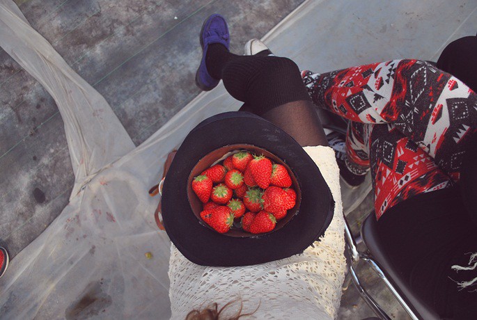 strawberrytrip