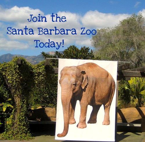 Join the Santa Barbara Zoo