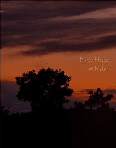 New Hope