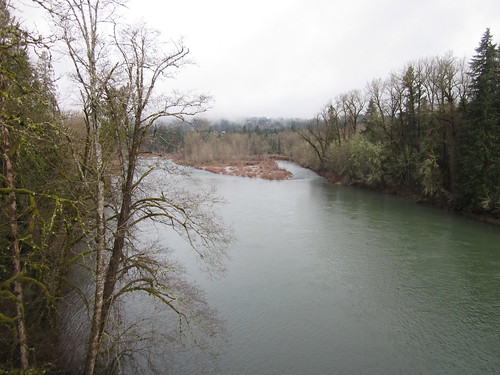 Clackamas River, early spring leafing-out
