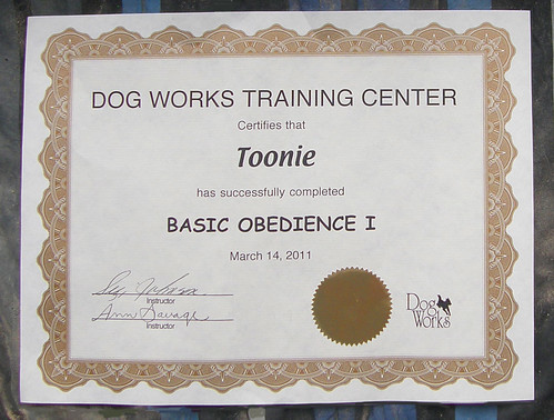 Doggie Diploma