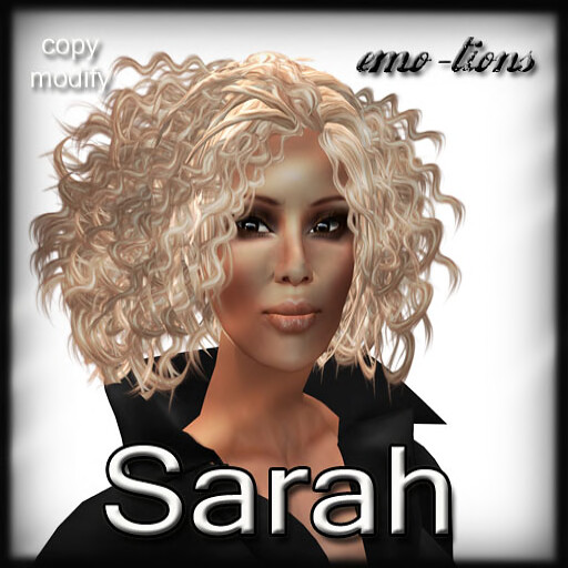 SARAH groupgift