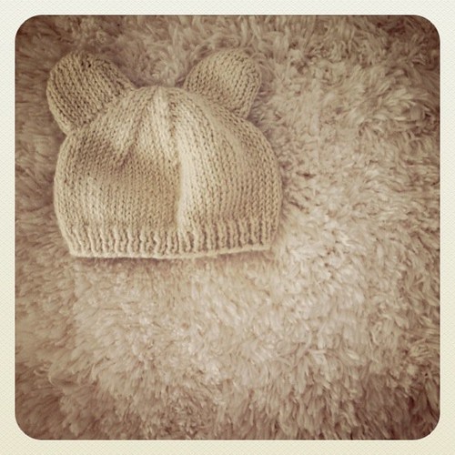 baby bear hat