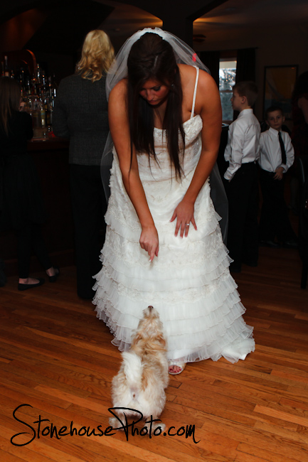 Bride & her doggie