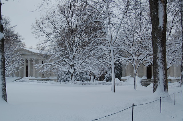 Princeton snow 2011 015