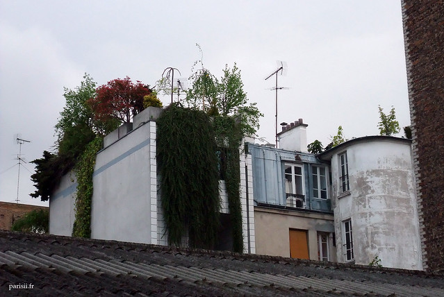 Terrasses verdoyantes sur les toits parisiens