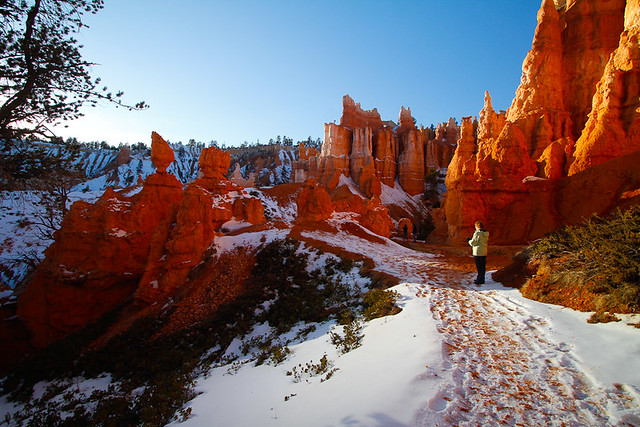 Bryce National Park in the snow-15.jpg