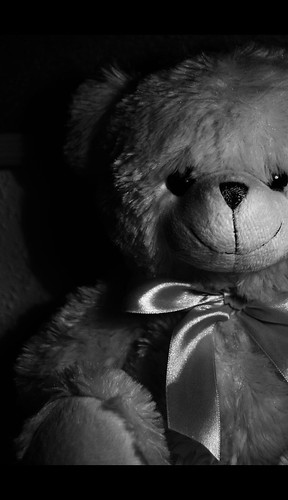 Cuddly Teddy Bear. My cute amp; cuddly teddy bear ♥