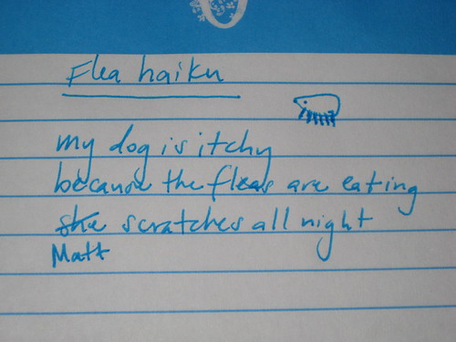 Day 28:  Flea haiku