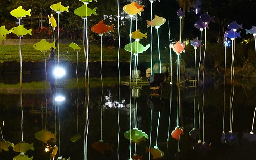 羅東夜市－美麗的池塘夜景