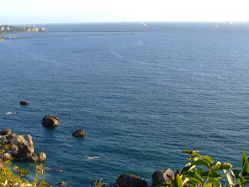 柴山西海岸保有原始海岸線，以及豐富的軟硬底質生物生態系統。圖片來自： 柴山會部落格。