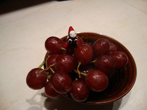 poppet in grapes2