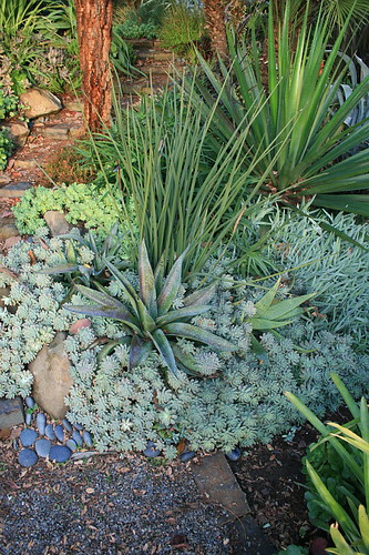 Variations on a spikey theme by David Feix Landscape Design