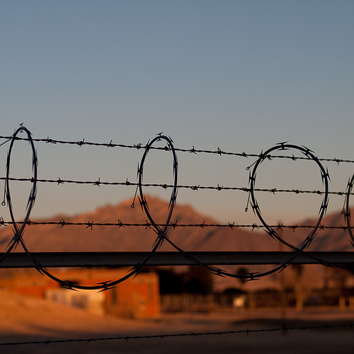 Barbed Wire Morning