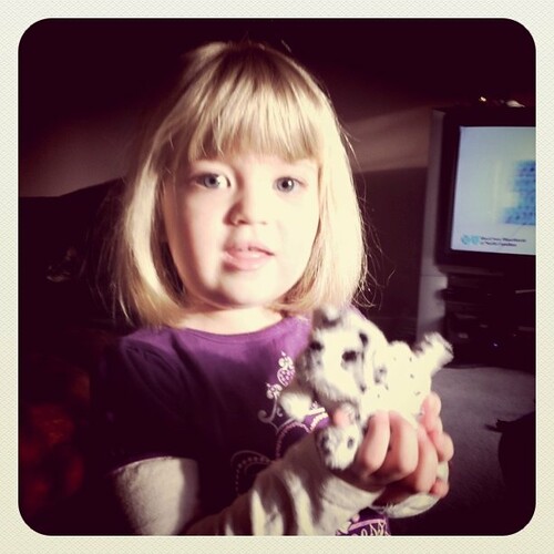 Catie & her toy puppy