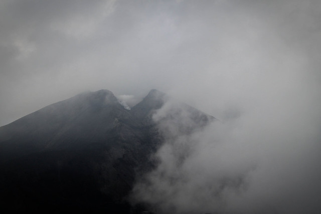Foggy Pacayay - Guatemala