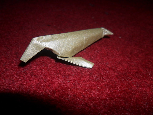 Mediterranean Monk Seal. Mediterranean monk seal. seal. designed and folded by J Blake