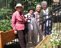 seniors in garden, Philadelphia (courtesy of US EPA)