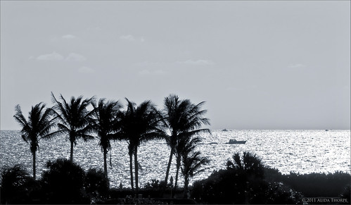 ocean silhouette by Alida's Photos