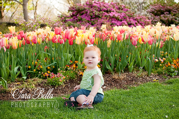3-19-2011 Zoe Tulips (3) copyweb