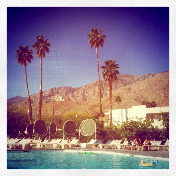 Spring Break at the Ace Palm Springs