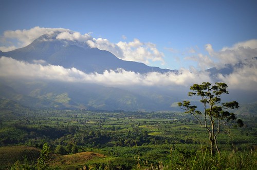 view of Mt. Apo from Camp Sabros
