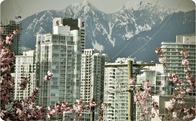 city-flowers-mountains
