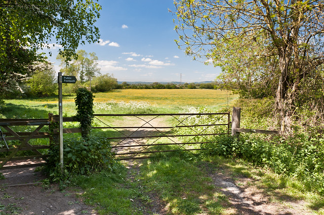 Puplic Footpath sign and gate leading into a buttercup meadow.