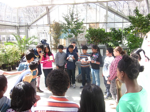 Rock to Apple Earth lesson in the Greenhouse