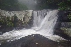 Sanje Waterfall, Udzungwa National Park