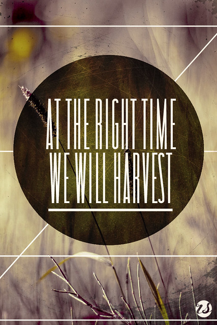 We Will Harvest