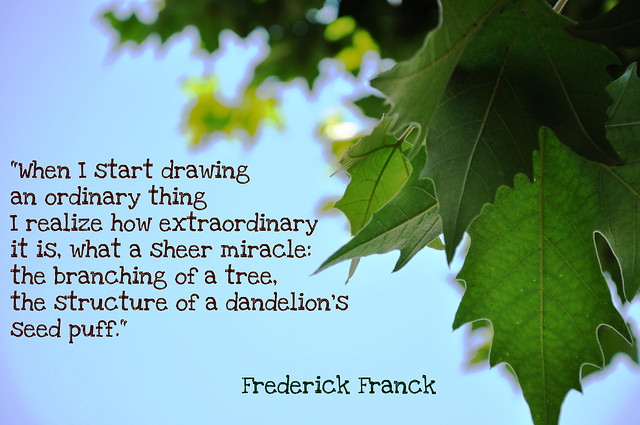 A quote from Frederick Franck