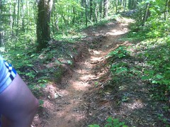  Old Trail Below Grade 