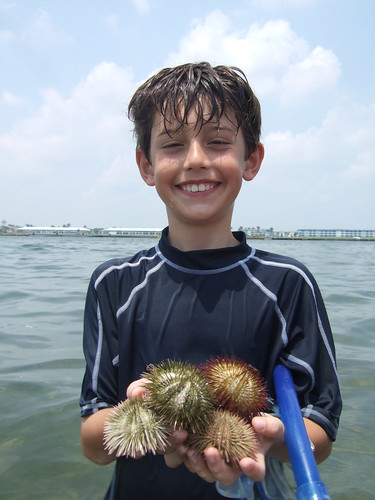 Sea urchin collector Trevor