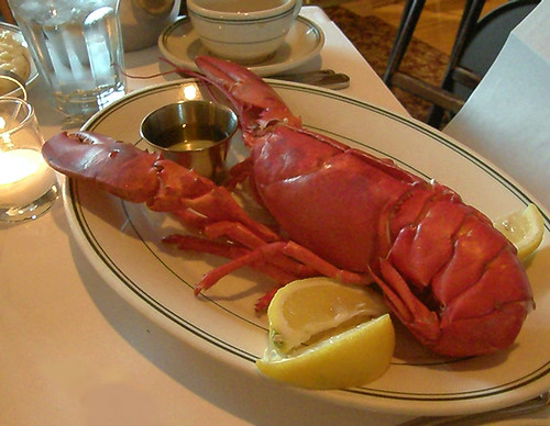 wife loves lobster