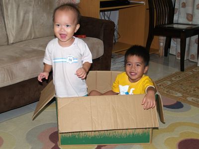 Boys in the box
