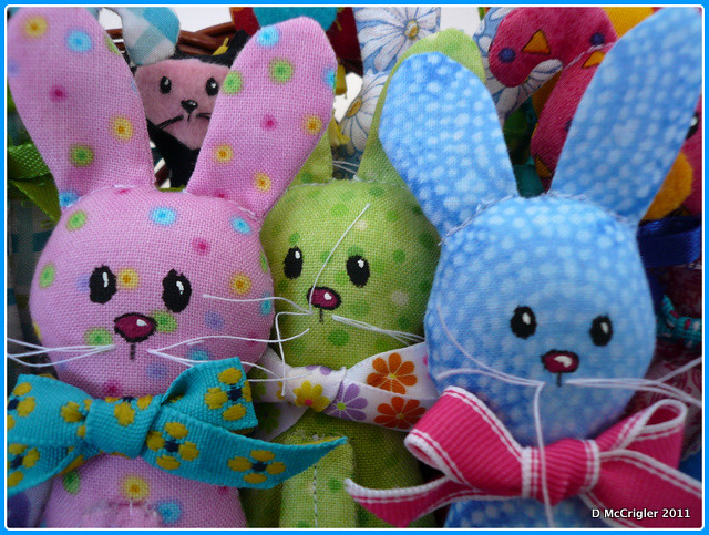  closeup bunnies