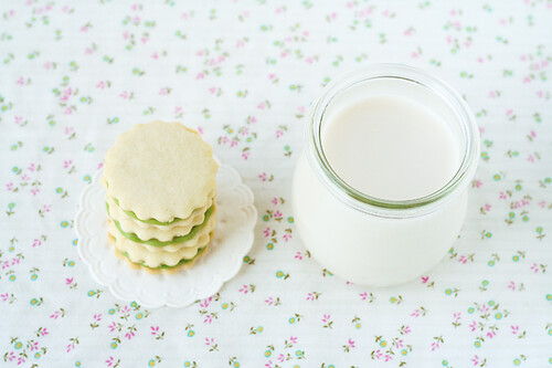 Green Tea Chocolate Cookies and Almond Milk