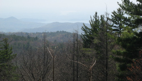 Overlooking the Blue Ridge Mountains