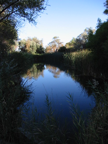 corn creek pond